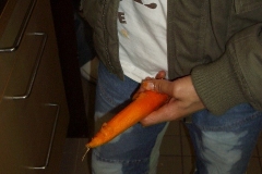 IMGP1461