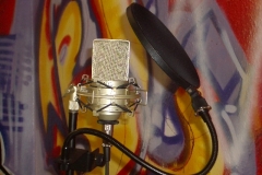 IMGP1696