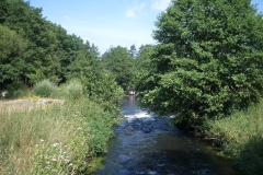 IMGP1922