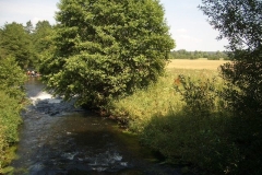 IMGP1923