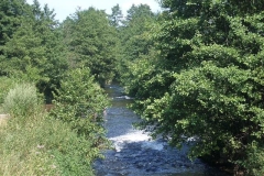 IMGP1924