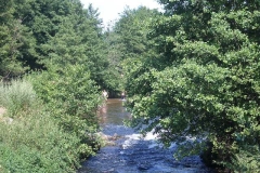 IMGP1925