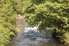 IMGP1926