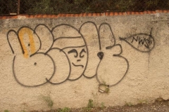 IMGP3201-110