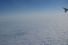 SDC11860