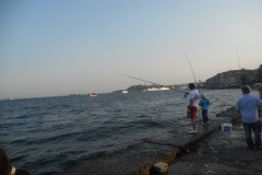 DSCN3239
