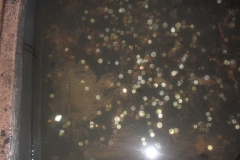 SDC12936