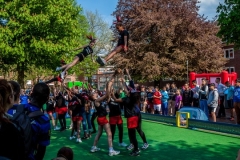 IMG_5903