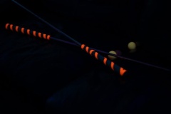IMG_8090