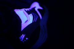 IMG_8279