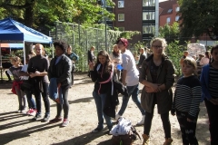 k-IMG_0098